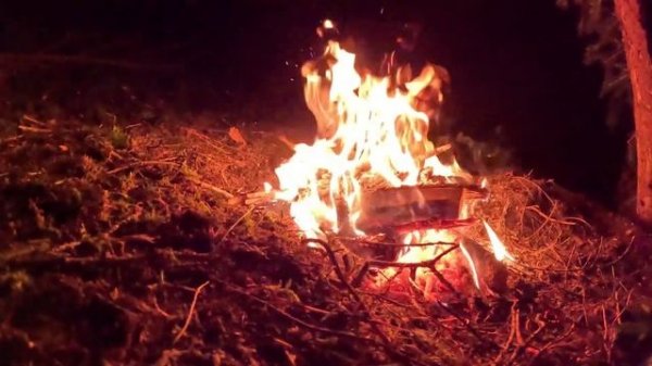 ANTONIO BUILDING an off-grid SURVIVAL SEHLTER and overnight stay БЕЗ РЫБАЛК