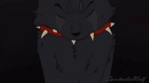 Коты воители (бич) ~ ,, Котик создан убивать" ~ Клип