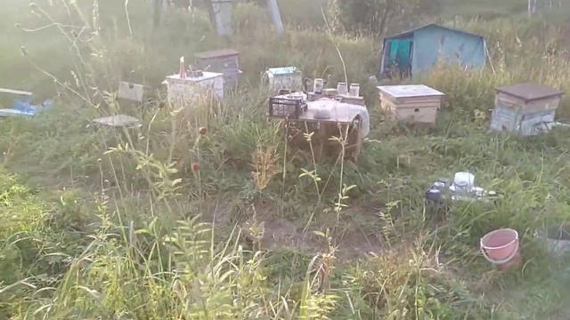 Пасека в Ключах на берегу р. Шадриха смотреть онлайн