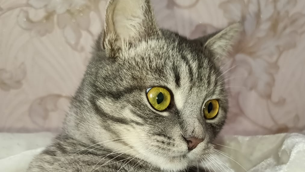 моя детская стиралка не работает