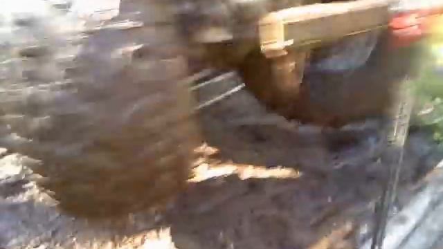 Болотоход ХАНТ смотреть онлайн