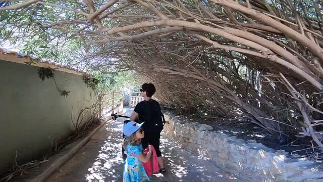 THE JARL FAMILY - Terra Natura Zoo Benidorm смотреть онлайн