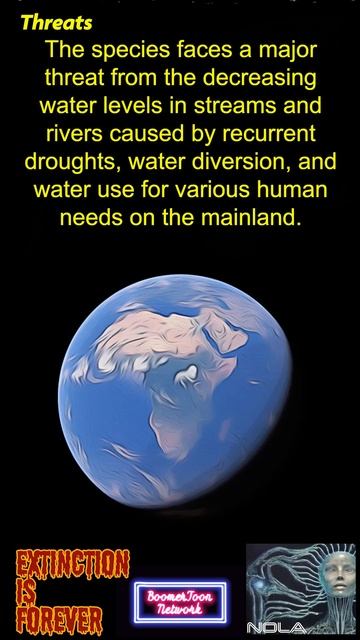 02 NOLA EXTINCTION IS FOREVER Ornithorhynchus anatinus смотреть онлайн
