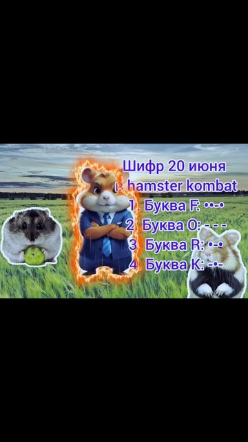 Азбука морзе 20 июня в игре hamster kombat смотреть онлайн