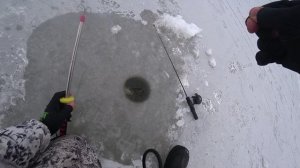 РЫБАЛКА НА ФОРЕЛЬ РЫБОЛОВНЫЙ КЛУБ ЧАЙКА