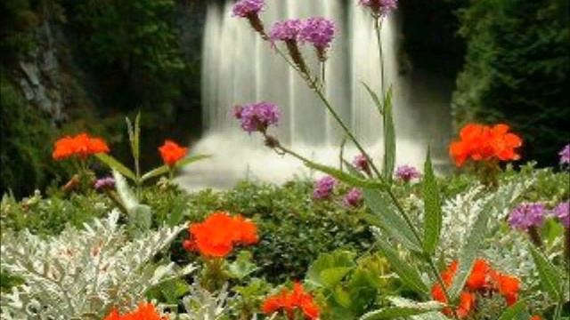 Dumarka Masjidka Aadaya смотреть онлайн