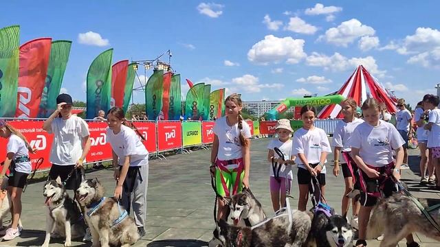 Перед стартом каникросса. Ультра 100 смотреть онлайн