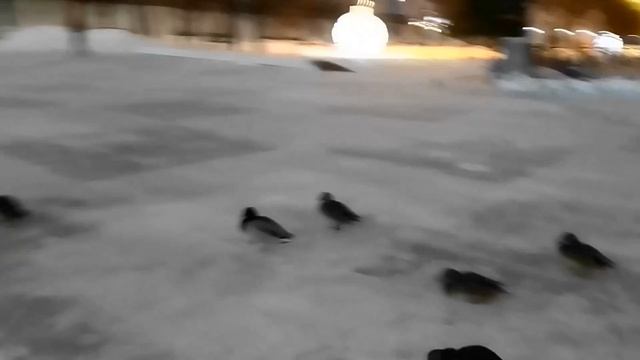 ВИДЕО отчёт 33 часа в Екатеринбурге смотреть онлайн