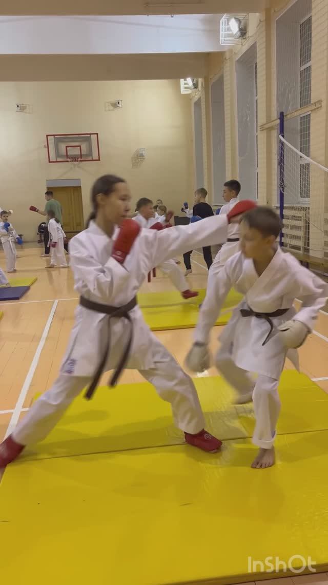 Изучаем броски.