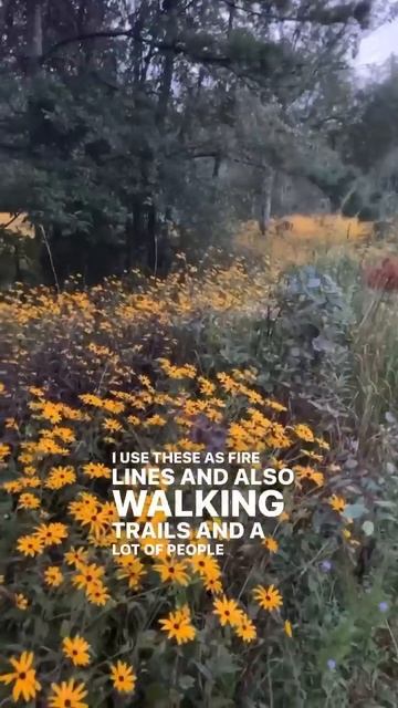 Aggressive Natives are a Good Thing!! смотреть онлайн