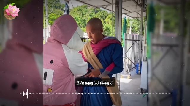 Phước lành đến với người dân Vĩnh Phương, Nha Trang, nơi Thầy Minh Tuệ đang ẩn tu смотреть онлайн