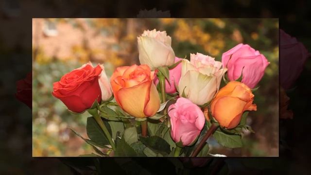 КРАСИВЫЕ ФОТОГРАФИИ смотреть онлайн