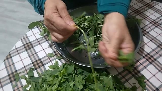 yeşil nane çabuk nasıl kurutulur смотреть онлайн