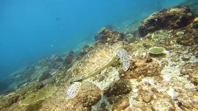 March Compilation смотреть онлайн