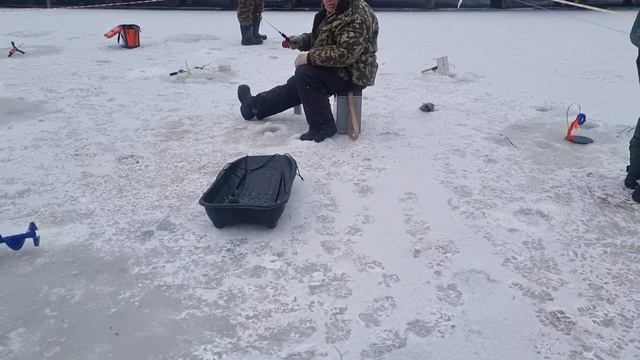 14-02-2025 смотреть онлайн