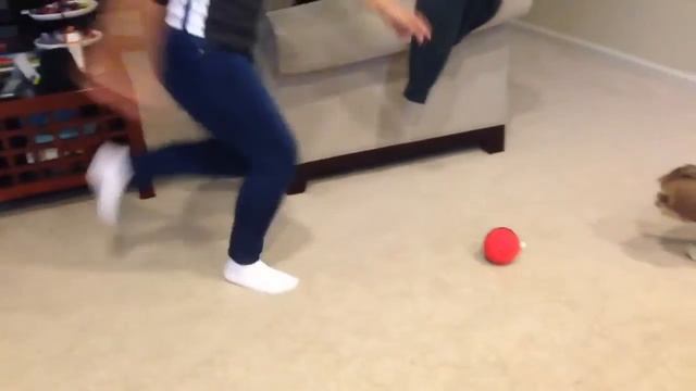 Soccer mom vs doggo! (Filmed by Eris) смотреть онлайн