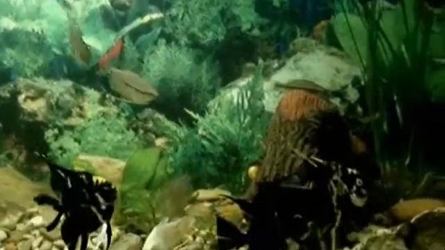 виды А120 14м смотреть онлайн