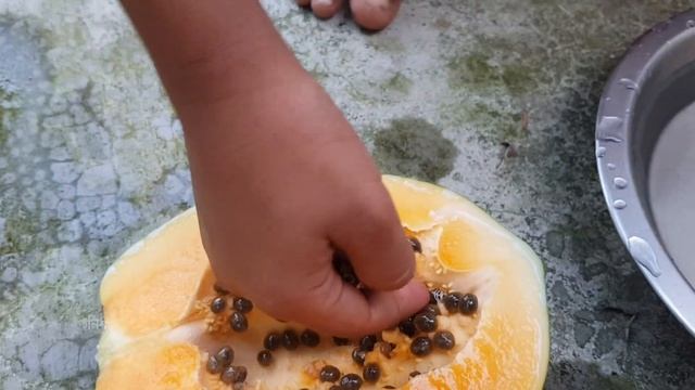 গাছ পাকা পেঁপে খেতে খুব মিঠা! - Elish Agro смотреть онлайн