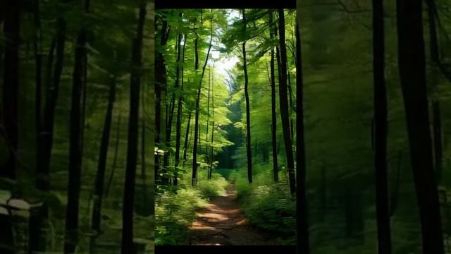 GUIDANCE FOR AWAKENING SOULS (The Path to the Light) #spiritualawakening #psychedelicuniverse смотреть онлайн