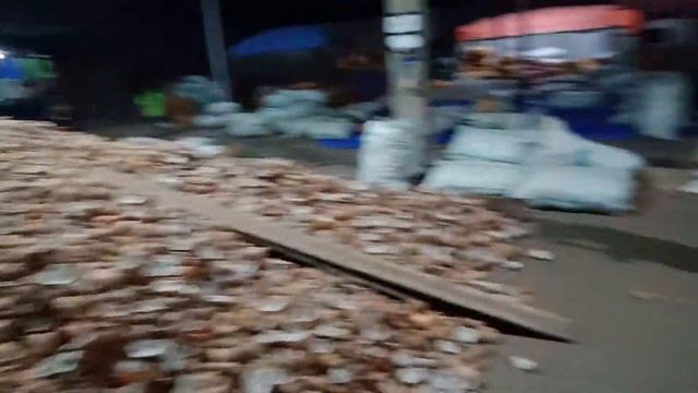 Kopra putih смотреть онлайн