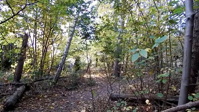 Тестирование камуфляжа Впечатляет смотреть онлайн