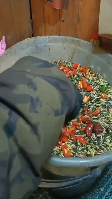 КРАСНЫЙ ПЕРЕЦ ДЛЯ КУР НЕСУШЕК - КУРЫ ПЕРЕСТАЛИ НЕСТИСЬ смотреть онлайн