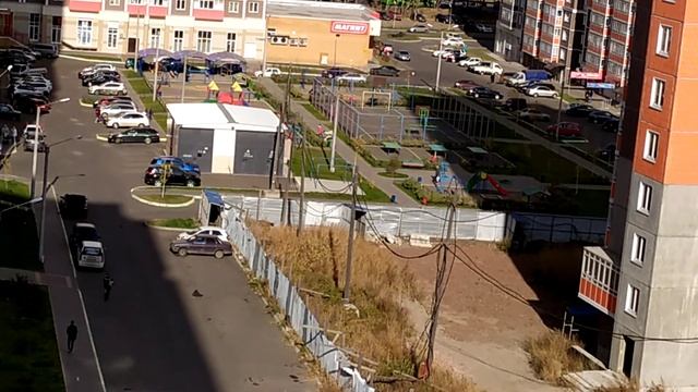 Стая бродячих собак со стройки под окнами жилого дома - 