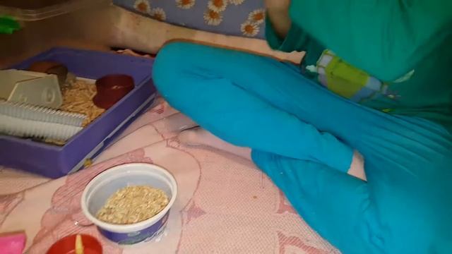Самое милое видео на канале. Симка беременна? У печеньки дети? У нас опять новые питомцы.Джунгарики смотреть онлайн
