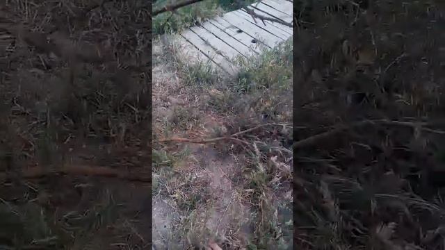 Как мы отмечали последний звонок. смотреть онлайн