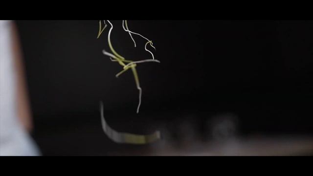 Hoki Sushi & Thaï - Epic B-Roll смотреть онлайн