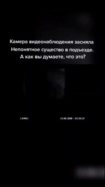 Странное существо в подъезде. #shorts #паранормальное #рекомендации #топ #монстр #существа#страх смотреть онлайн