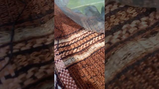 Ящерица на даче смотреть онлайн