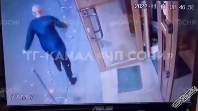 ПРИКОЛЫ С ЖИВОТНЫМИ, серия 1 смотреть онлайн