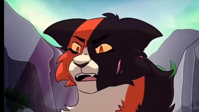 l can't decide ||MAP кленовница коты воители warriors cats | BlacK FaLcoN | смотреть онлайн