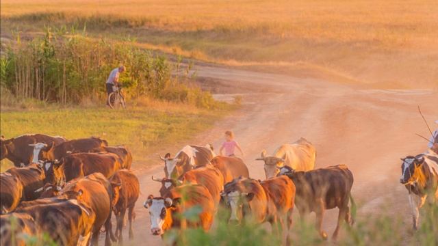 Поднимается Россия. Стихи Евгения Щербакова, музыка и исполнение СУНО