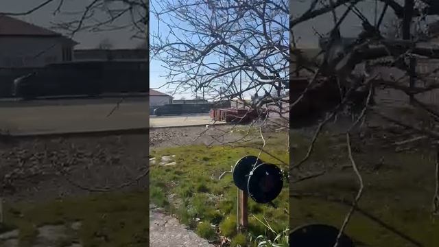 WhatsApp Video 2025-02-14 At 16.50.08