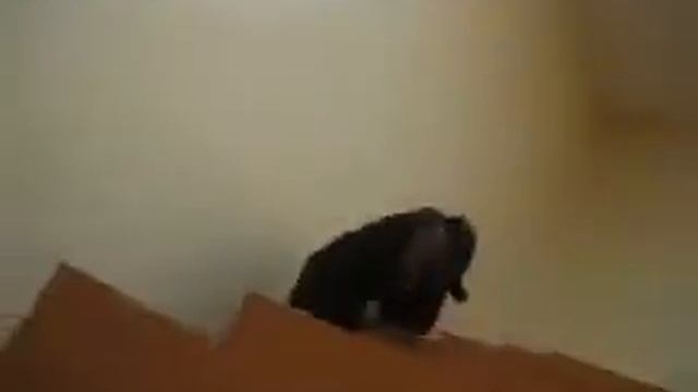 Как то на паре... смотреть онлайн