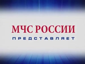 «Зина, Кеша и террористы»