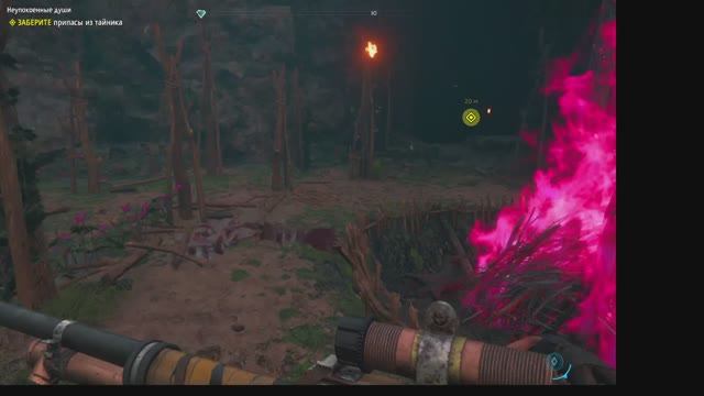 2025 far cry nev davn #6