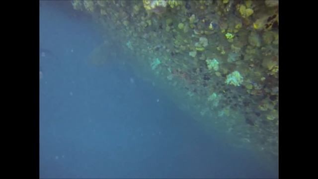 Berakit Wreck Diving with Mira-Tech Diving Services смотреть онлайн