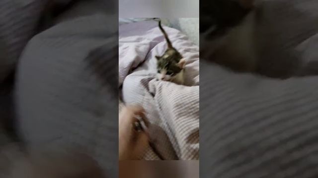 История Бусинки смотреть онлайн
