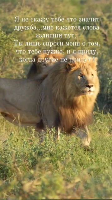 Правда смотреть онлайн