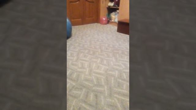 Новый шар Перси смотреть онлайн