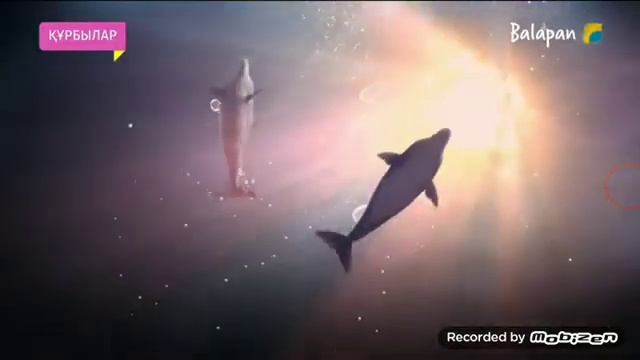 Құбырлар 3бөлім көреміз смотреть онлайн