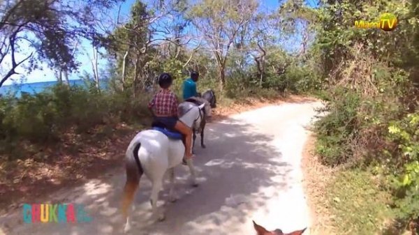Jenny Scordamaglia Horseback Riding In Jamaica,On The Beach