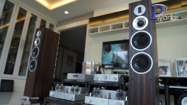 UPGRADE OCTAVE : MRE 220 , Pre Amp OCTAVE : HP 700 และ JPS LABS : ALUMINATA AC by Piyanas Team смотреть онлайн