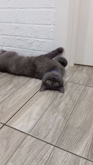 Везунчик смотреть онлайн