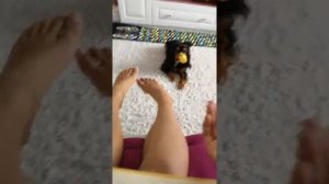 Каждый пёсик такой!!!
