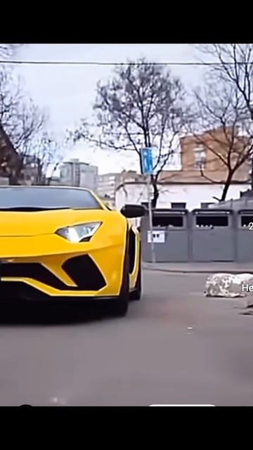 How Rich stay Rich смотреть онлайн