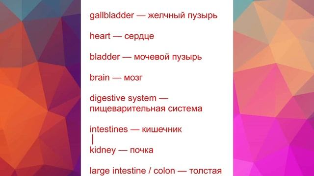 Аудио словарь. Английский. Тема "Органы человека". смотреть онлайн